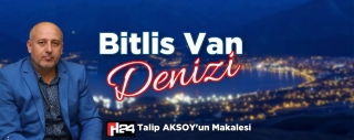Bitlis Van Denizi