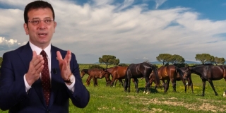 İmamoğlu Kayıp Atlarla İlgili Pakdemirli’ye Sordu