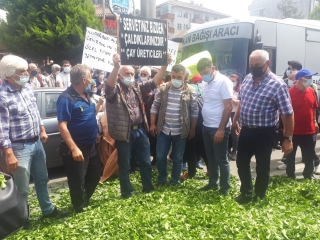 Çay üreticilerinden kota protesto